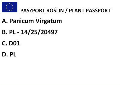 Proso Rózgowate "Rehbraun" (Panicum Virgatum )