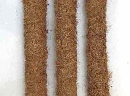 Paliki kokosowe