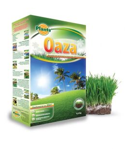 Trawa Oaza 0,5 kg