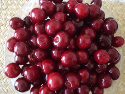 Wiśnia "Łutówka” goły korzeń (Cerasus Mill)