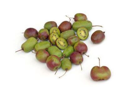 Aktinidia Ostrolistna ''Weiki'' (Actinidia Arguta)