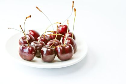 Czereśnia "Kordia" goły korzeń (Prunus avium)